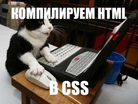 Coding cat 1