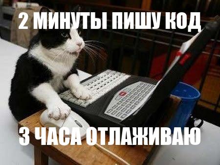 Coding cat 21